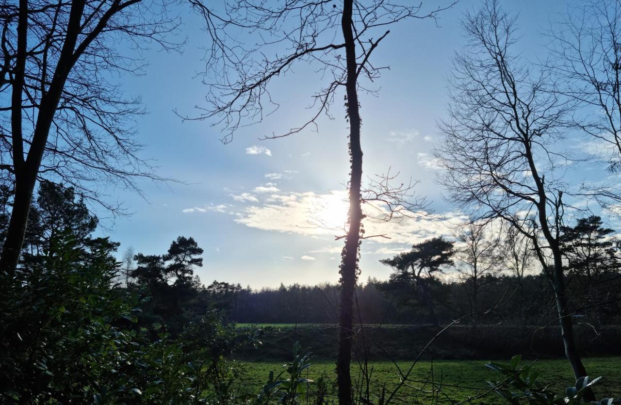 Waldhaus Doetlingen Ferienhaus Im Naturpark Bagian luar foto