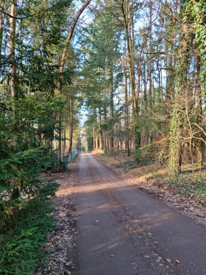 Waldhaus Doetlingen Ferienhaus Im Naturpark Bagian luar foto